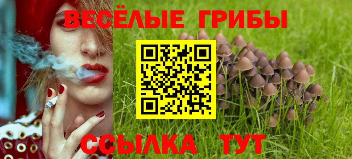 Арсеньев  Галлюциногенные грибы GOLDEN TEACHER  Вход с VPN 